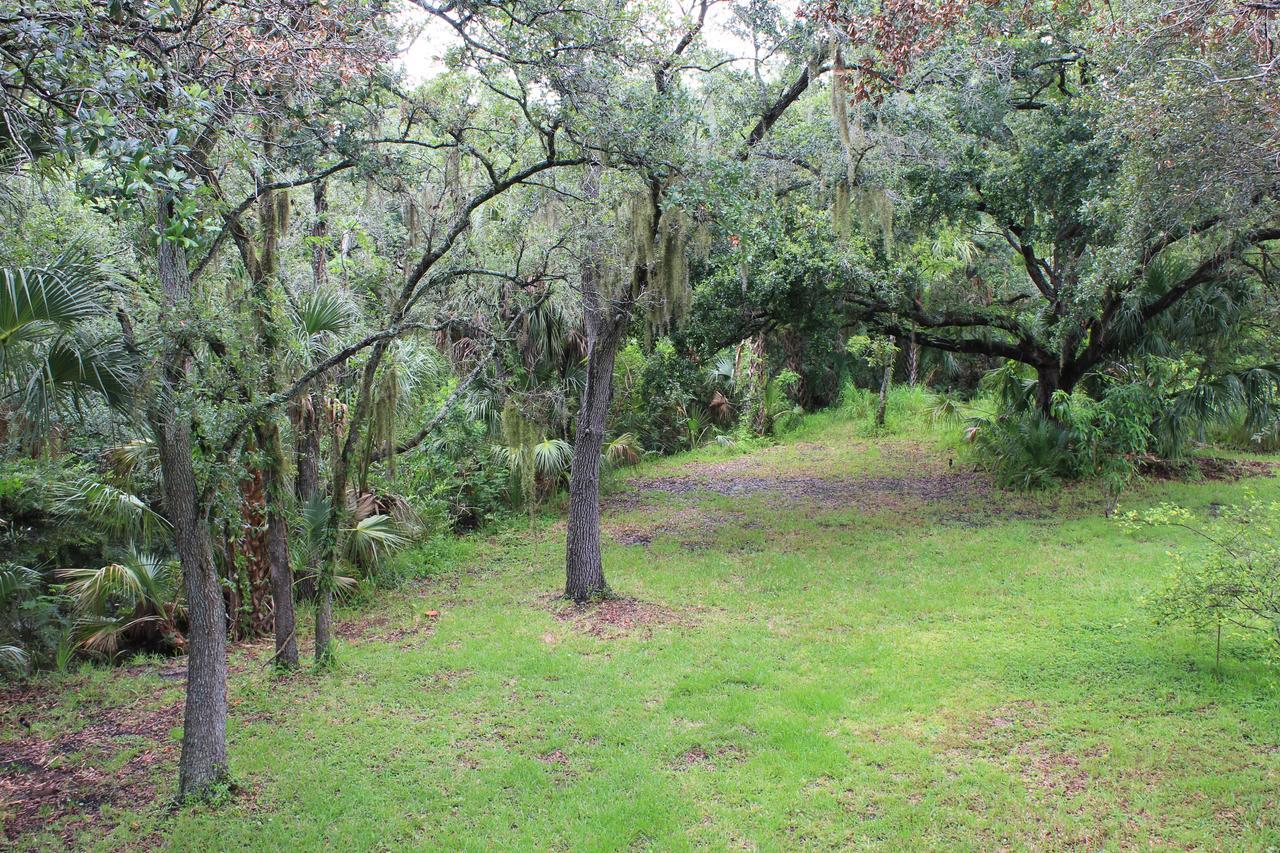 Villa Treehouse Tampa Exterior foto
